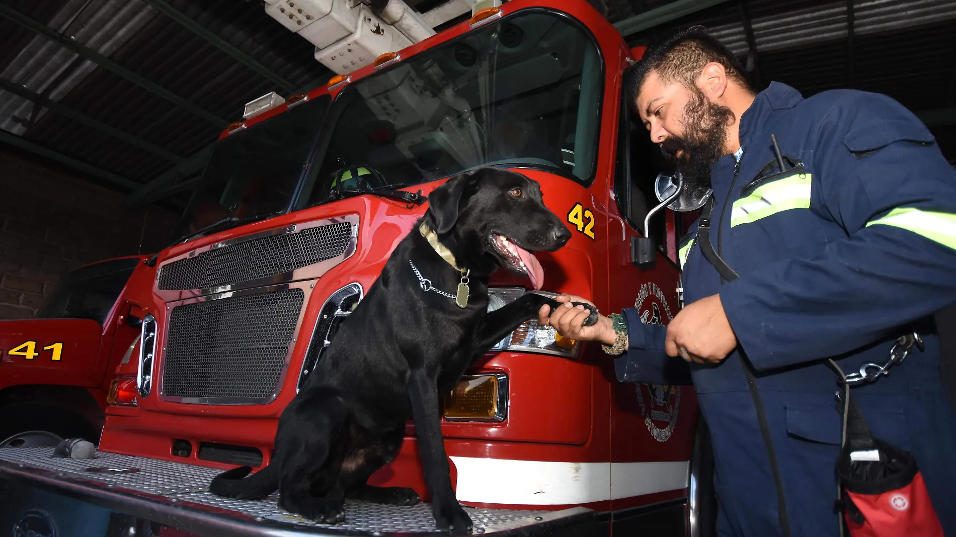 1A BOMBERO CANINO_FR